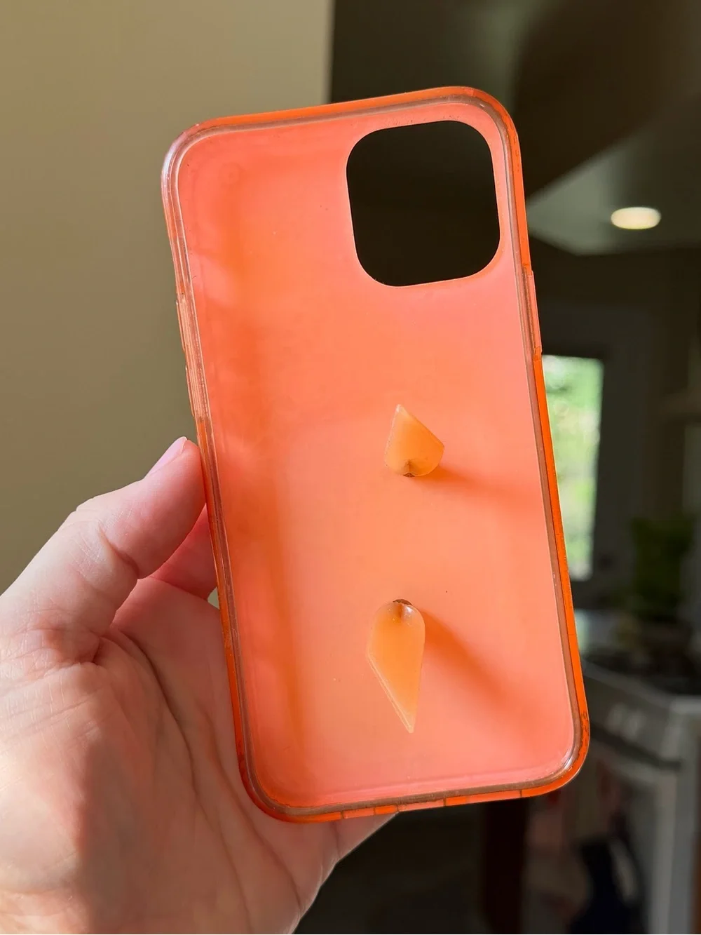 Loopy Case loopy floral